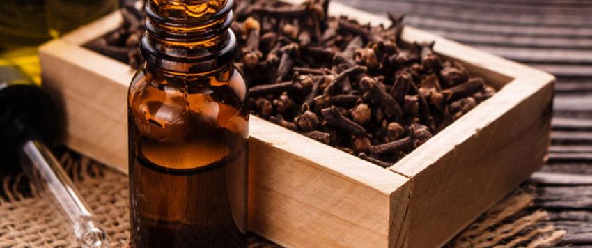 زيت القرنفل