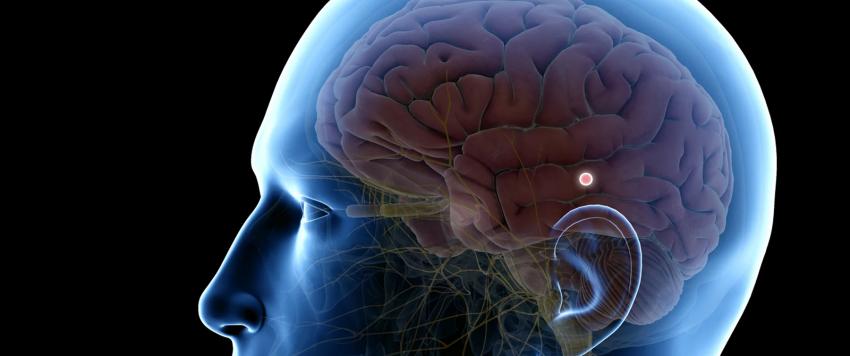 الغدة الصنوبرية