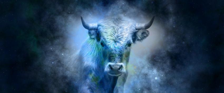 برج الثور برج الثور