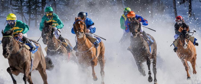 هل شاهدت من قبل سباق الخيل على الثلج؟