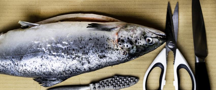 كيف تنظفين السمك؟