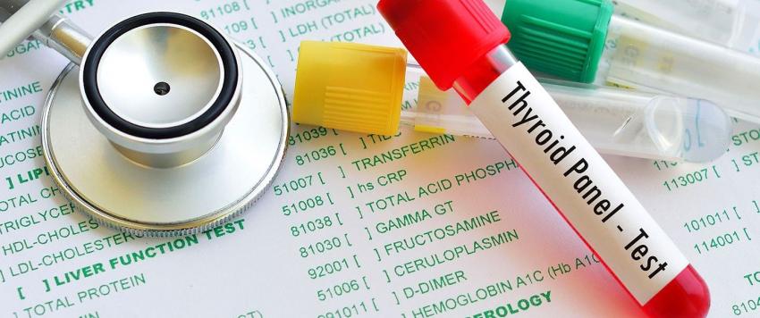 دراسة تكشف علاقة بين وظائف الغدة الدرقية ومشاكل القلب