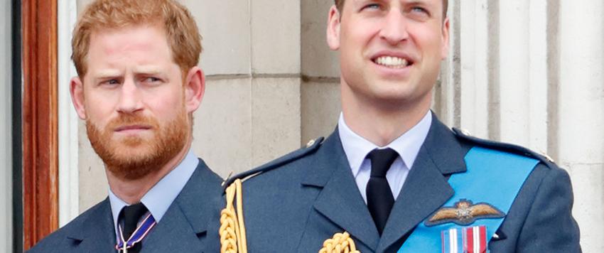 الامير هاري والامير ويليام