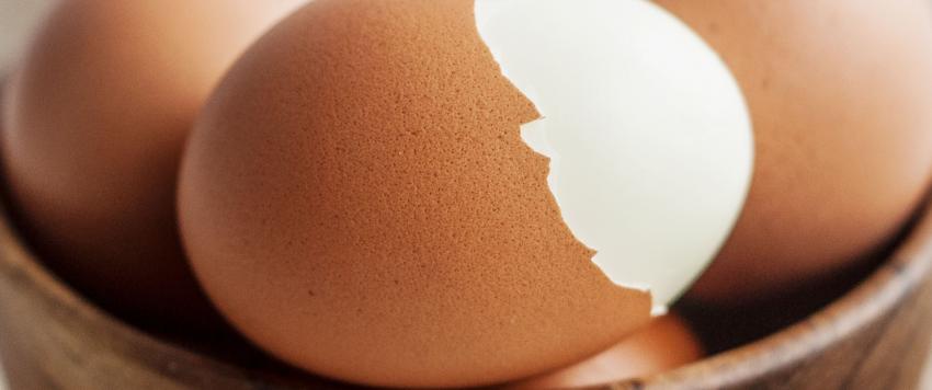 تناول البيض