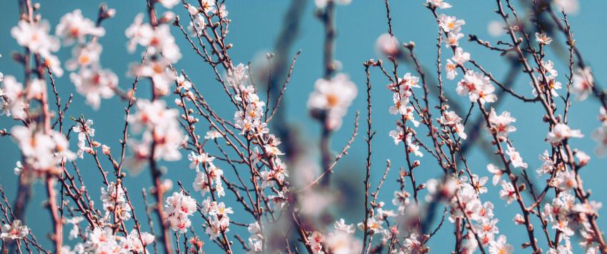 دعاء اليوم السادس و العشرين من رمضان