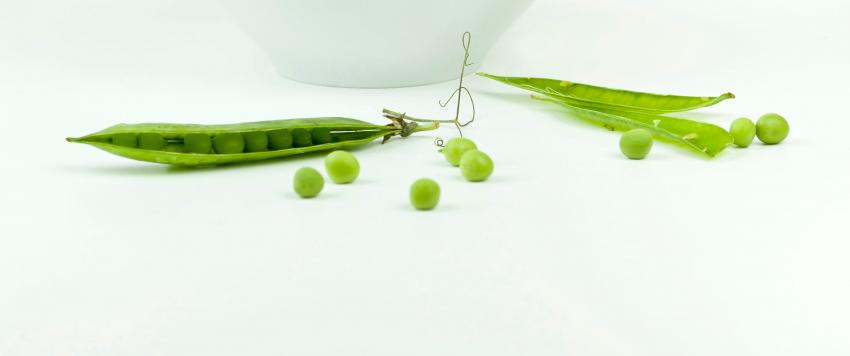 لماذا تسبب الفاصوليا الغازات في الجسم بعد تناولها؟