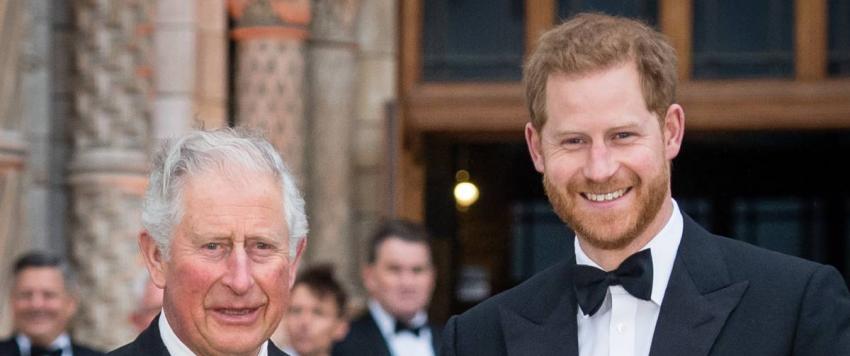 الأمير هاري وتشارلز