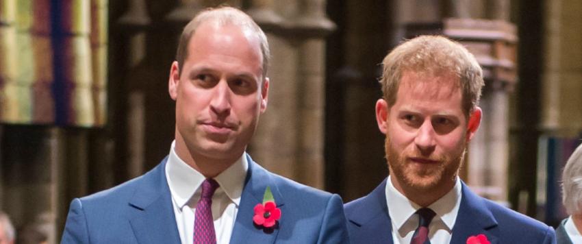 الأمير ويليام والامير هاري