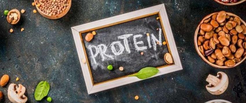 فوائد البروتين