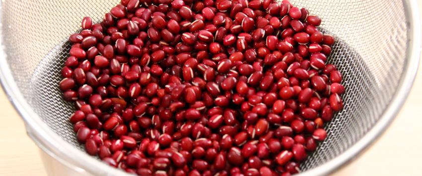 الفاصوليا الحمراء