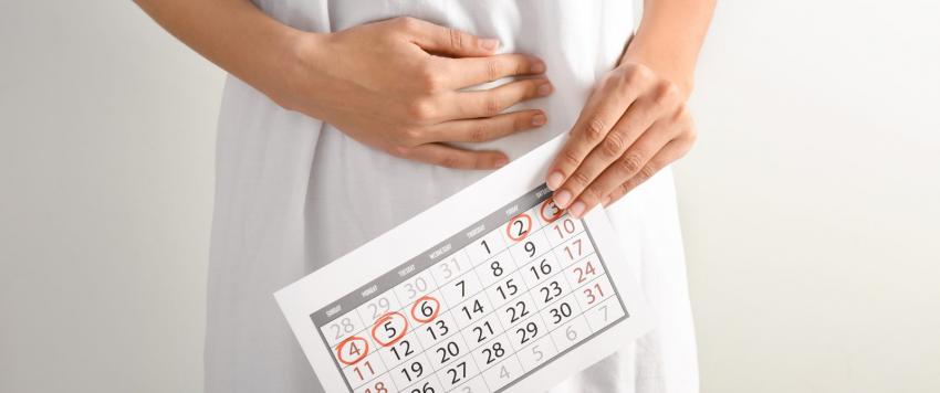 الدورة الشهرية