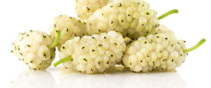  فوائد التوت الأبيض بألوانه