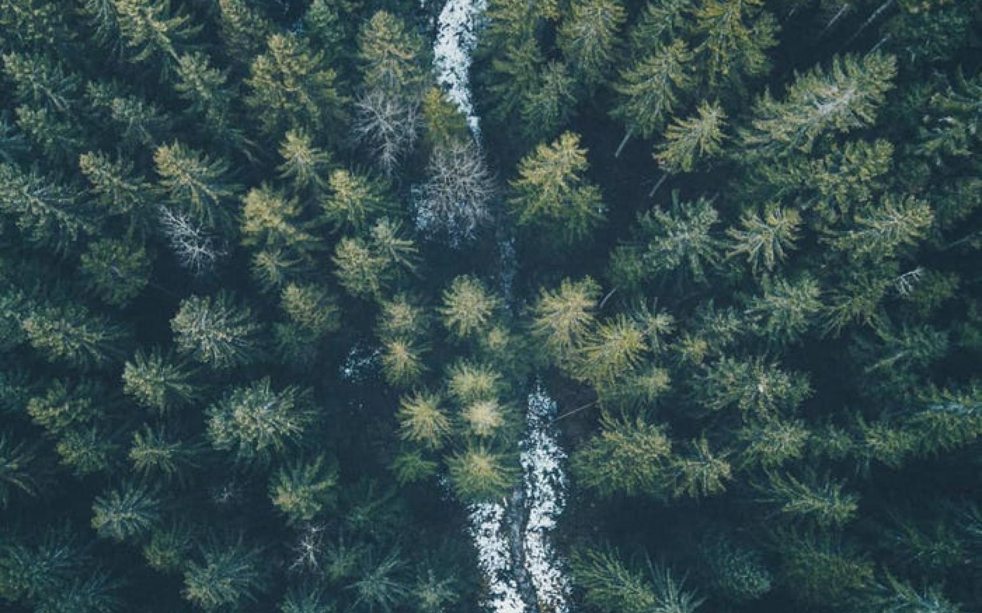 منتزه Gesäuse الوطني في النمسا منتزه Gesäuse الوطني في النمسا