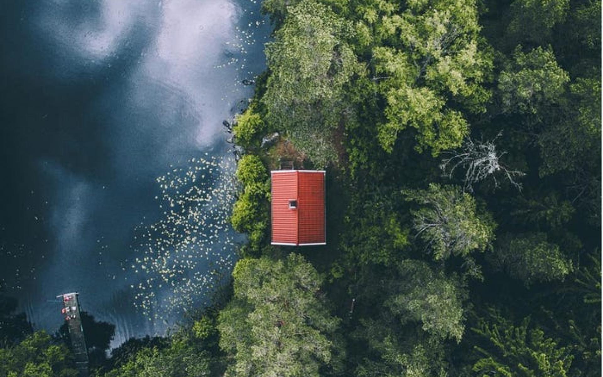 منظر جوي لغابة منظر جوي لغابة