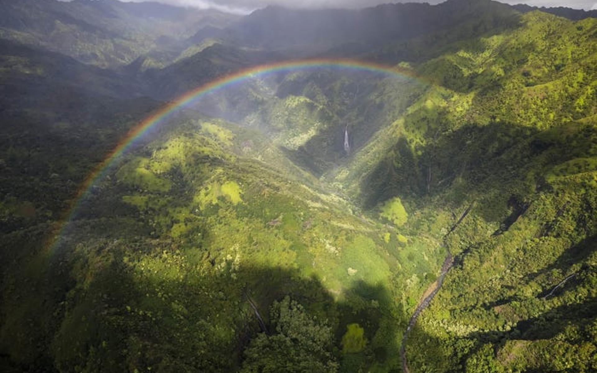 أشجار قوس قزح كاواي ، هاواي أشجار قوس قزح كاواي ، هاواي