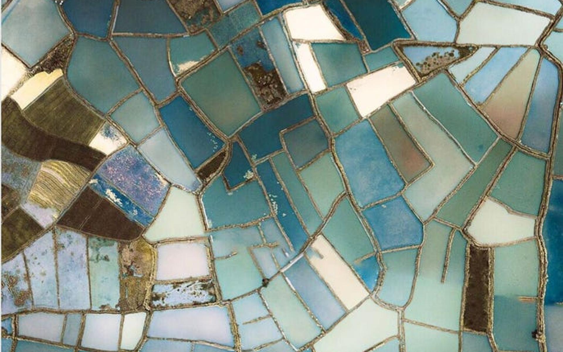 حقول الأرز الصينية حقول الأرز الصينية