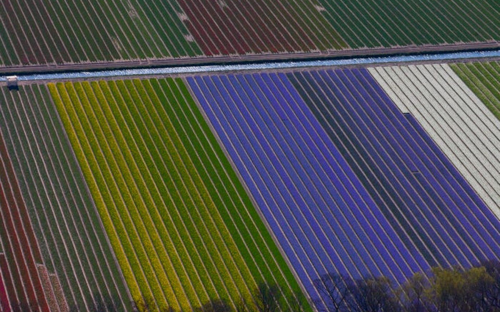 امستردام، هولندا امستردام، هولندا