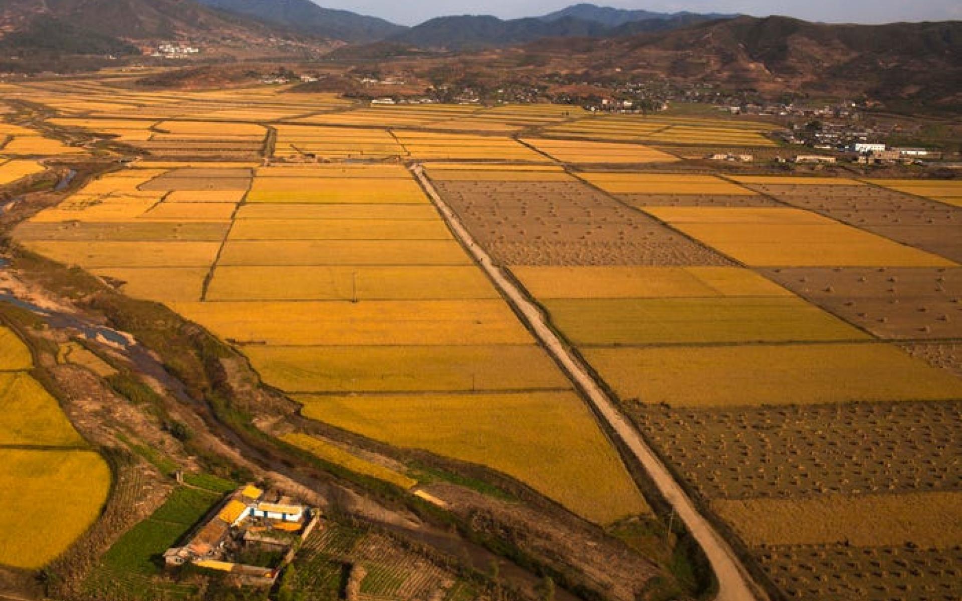 كوريا الشماليه كوريا الشماليه