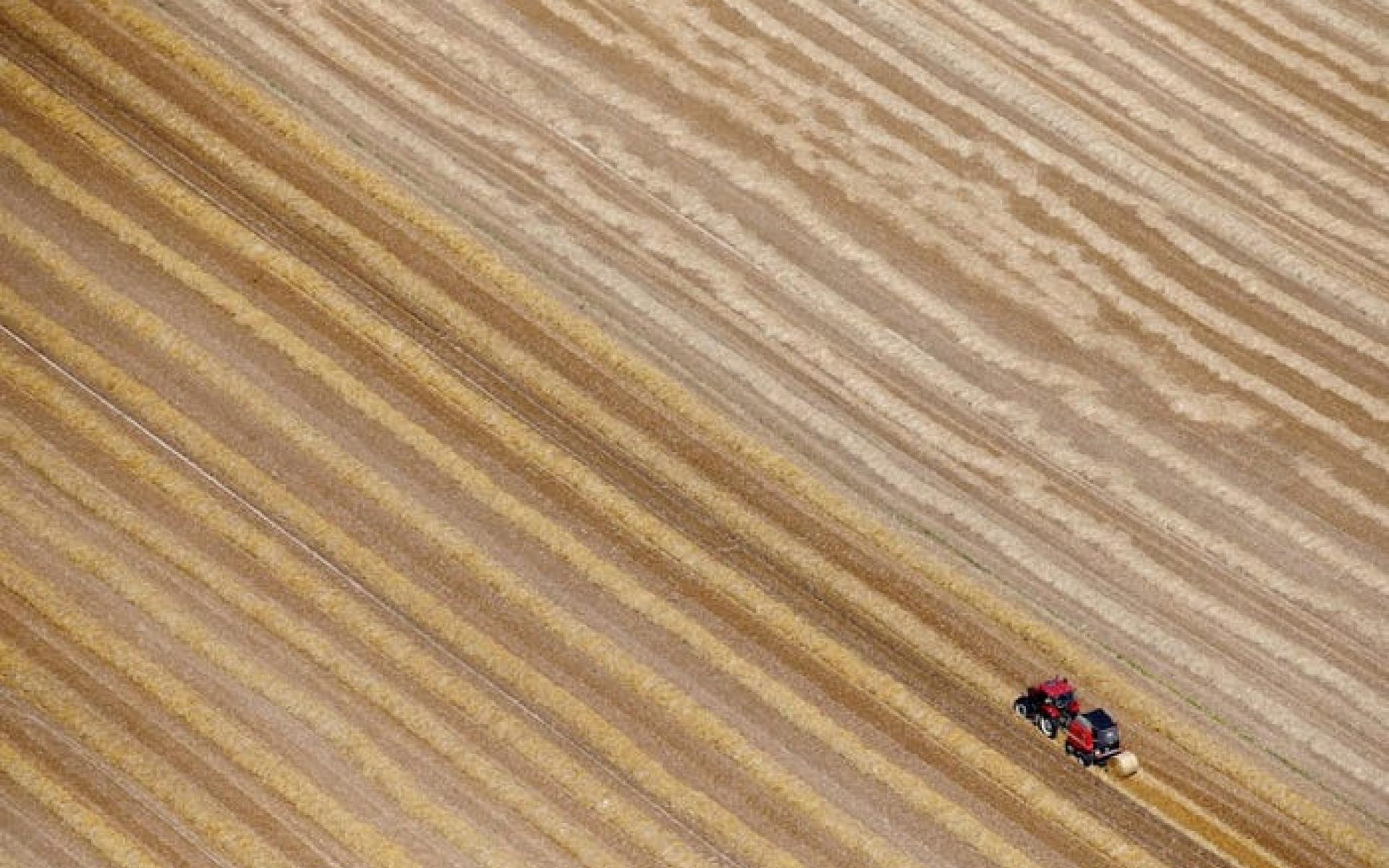 أرض زراعية في فرنسا أرض زراعية في فرنسا