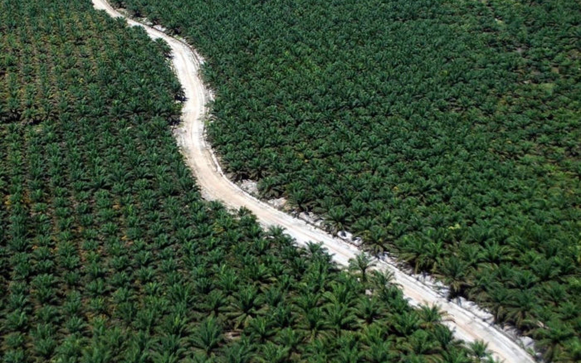 إندونسيا إندونسيا