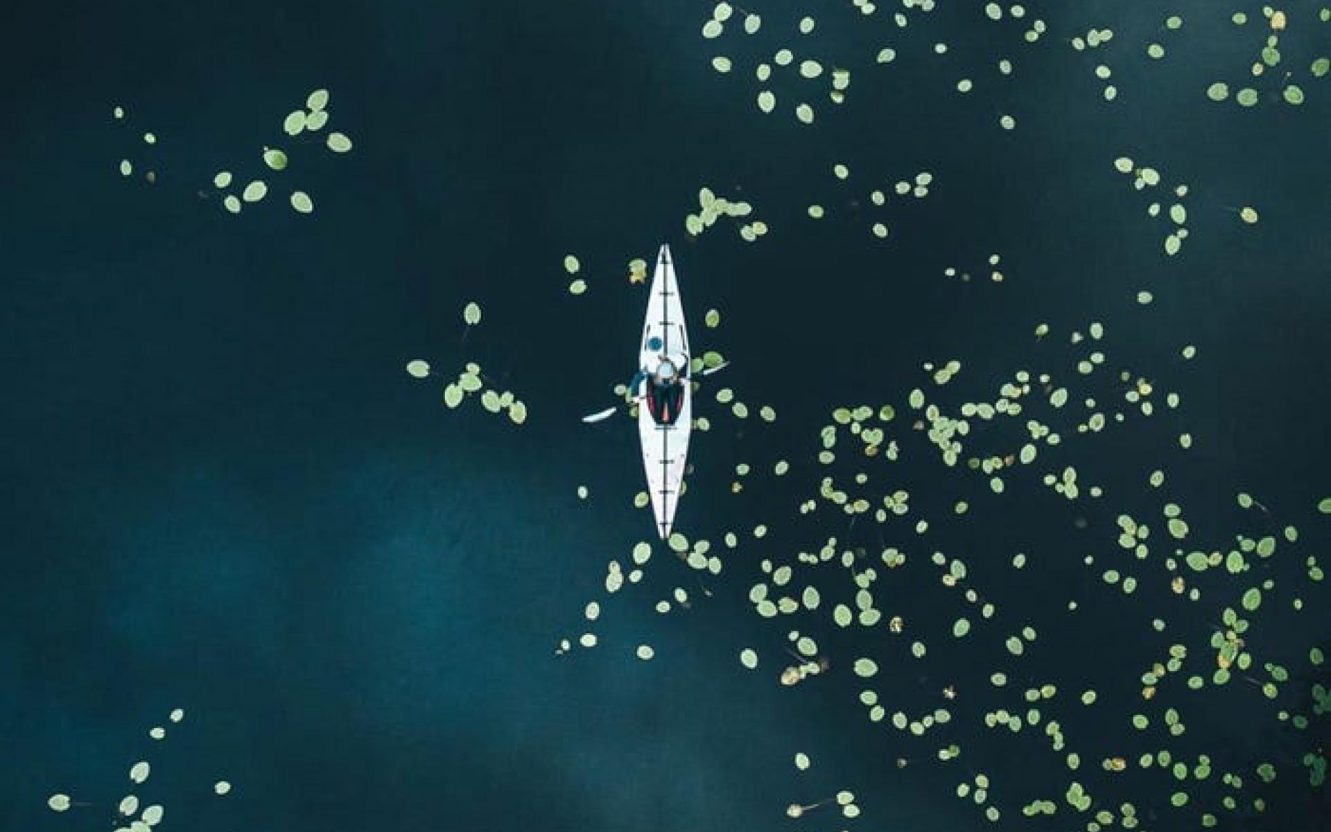 بحيرة في السويد بحيرة في السويد