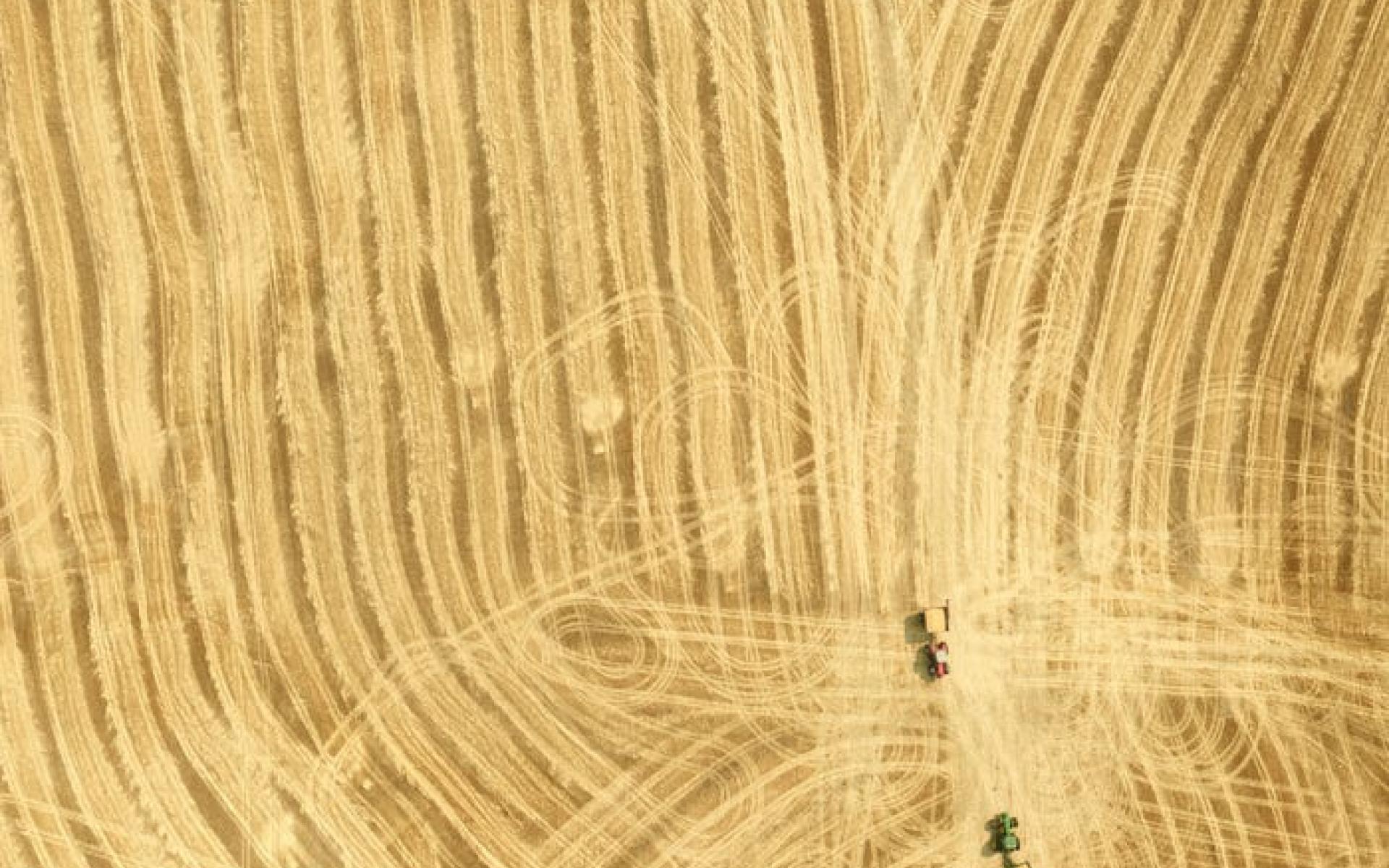 وايومنغ وايومنغ