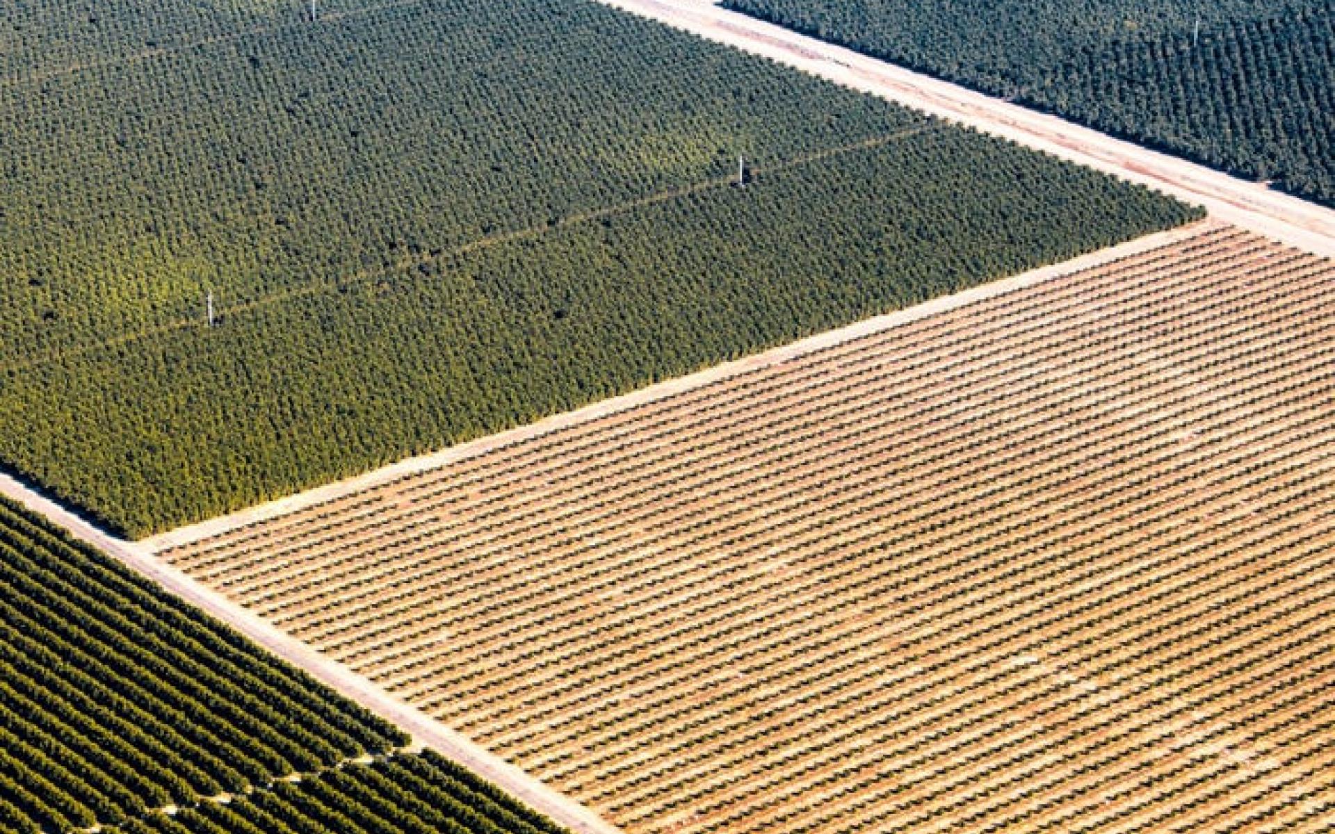 وايومنغ وايومنغ