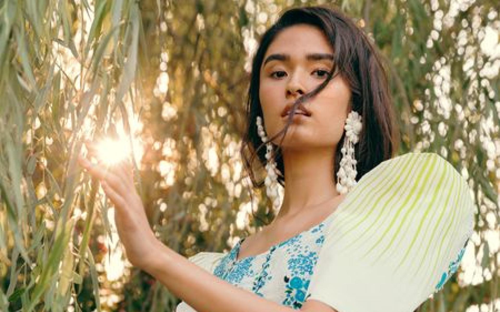 All Things Mochi All Things Mochi